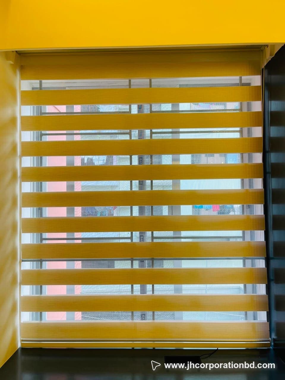 জেব্রা ব্লাইন্ড 
