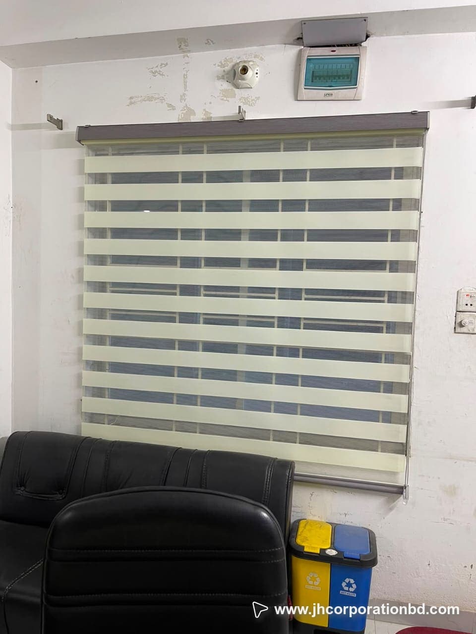 জেব্রা ব্লাইন্ড 